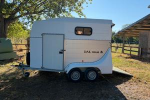 Trailer van trasporto 2 cavalli Z.P.Z
