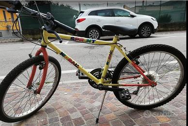 bicicletta ragazzo