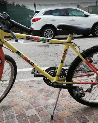 bicicletta ragazzo