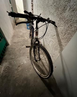 Bici ragazzo