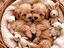 Immagine 22