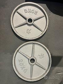 DISCHI-MANUBRI PALESTRA