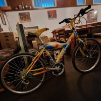 Bici Wander da bambino 