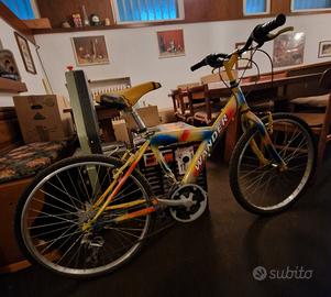 Bici Wander da bambino 