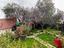 Immagine 25