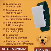 GPS localizzatore per cani