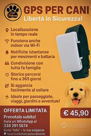 GPS localizzatore per cani