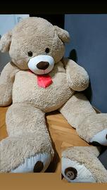 orso gigante  170cm