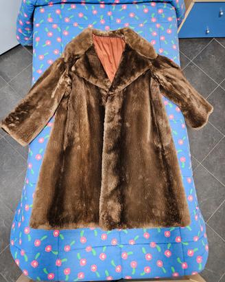 Pelliccia castorino