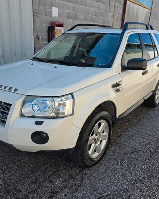 Land Rover Freelander Td4 SW SE FULLL E TETTO