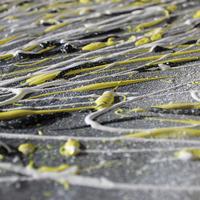 Quadro "Reborn" Arte Moderna 60X60