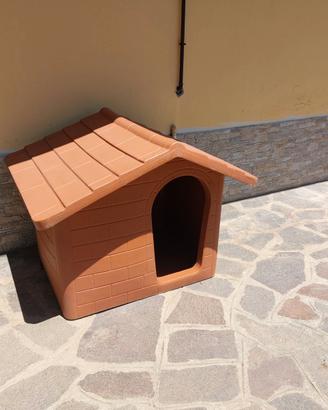 Cuccia x cane.