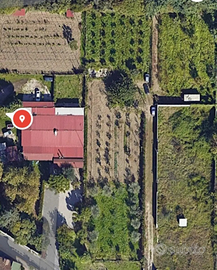 Terreno agricolo 1000mq