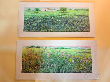 I prati dai mille colori di Franco Azzinari