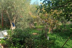 Terreno - Misterbianco