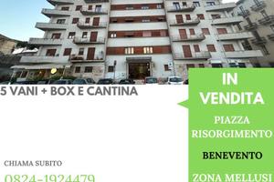 Zona Piazza Risorgimento