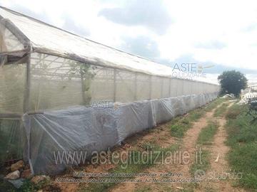 Terreno Agricolo Vittoria [A4196059]