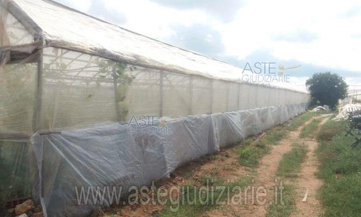 Terreno Agricolo Vittoria [A4196059]