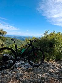 Focus raven carbon fox32