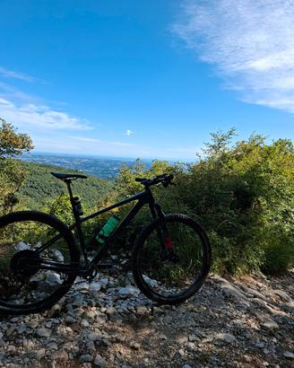 Focus raven carbon fox32