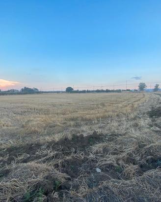 Terreno con oliveto zona convento rif.743