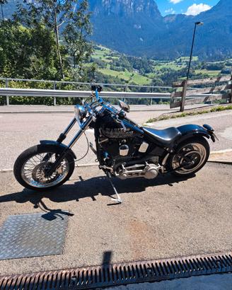 Harley Davidson Evo