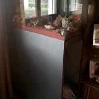 Terrario / Espositore piante robusto & elegante