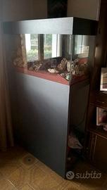 Terrario / Espositore piante robusto & elegante