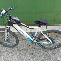 bicicletta Elettrica 