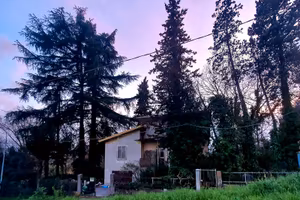 Villa a Bologna, box, veranda, parco - TRATTABILE