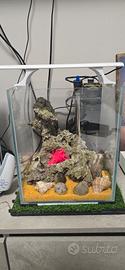acquario 20 l