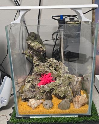 acquario 20 l
