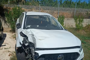 MG ZS GPL INCIDENTATA