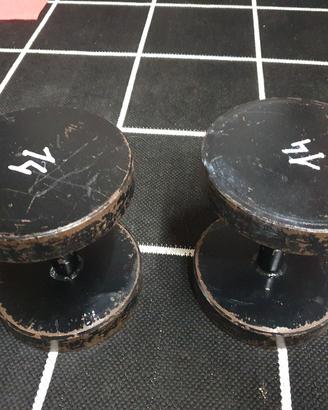 2 manubri 14 kg