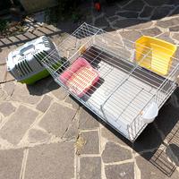 gabbia e trasportino