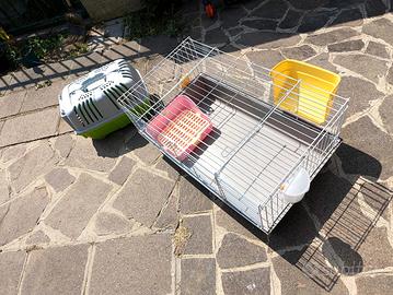 gabbia e trasportino