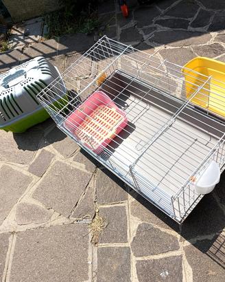 gabbia e trasportino