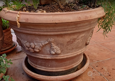 Vasi di terracotta stupendi.