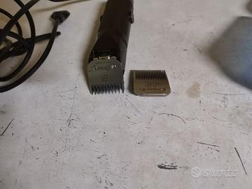 Tosatrice oster gold 2 velocità