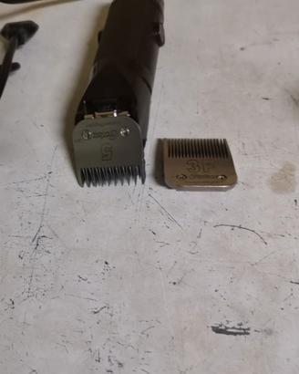 Tosatrice oster gold 2 velocità