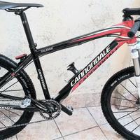 MTB  CANNONDALE TOURINE CARBONIO 