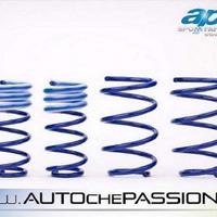 Kit molle sportive AP Mini Cooper R50/R52/R53 coop