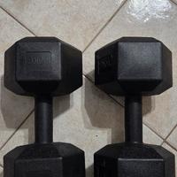 Manubri coppia 10 kg