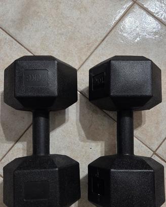 Manubri coppia 10 kg