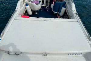 Motoscafo mercruiser 4300