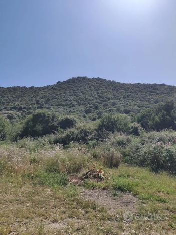 Terreno agricolo vista mare