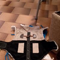 accessori cani piccola taglia