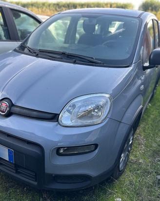 FIAT Panda III 2021 - Panda 1.0 firefly hybrid Cit