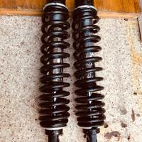 Ammortizzatori Bitubo Moto Guzzi