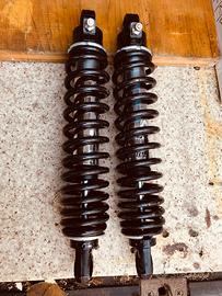 Ammortizzatori Bitubo Moto Guzzi